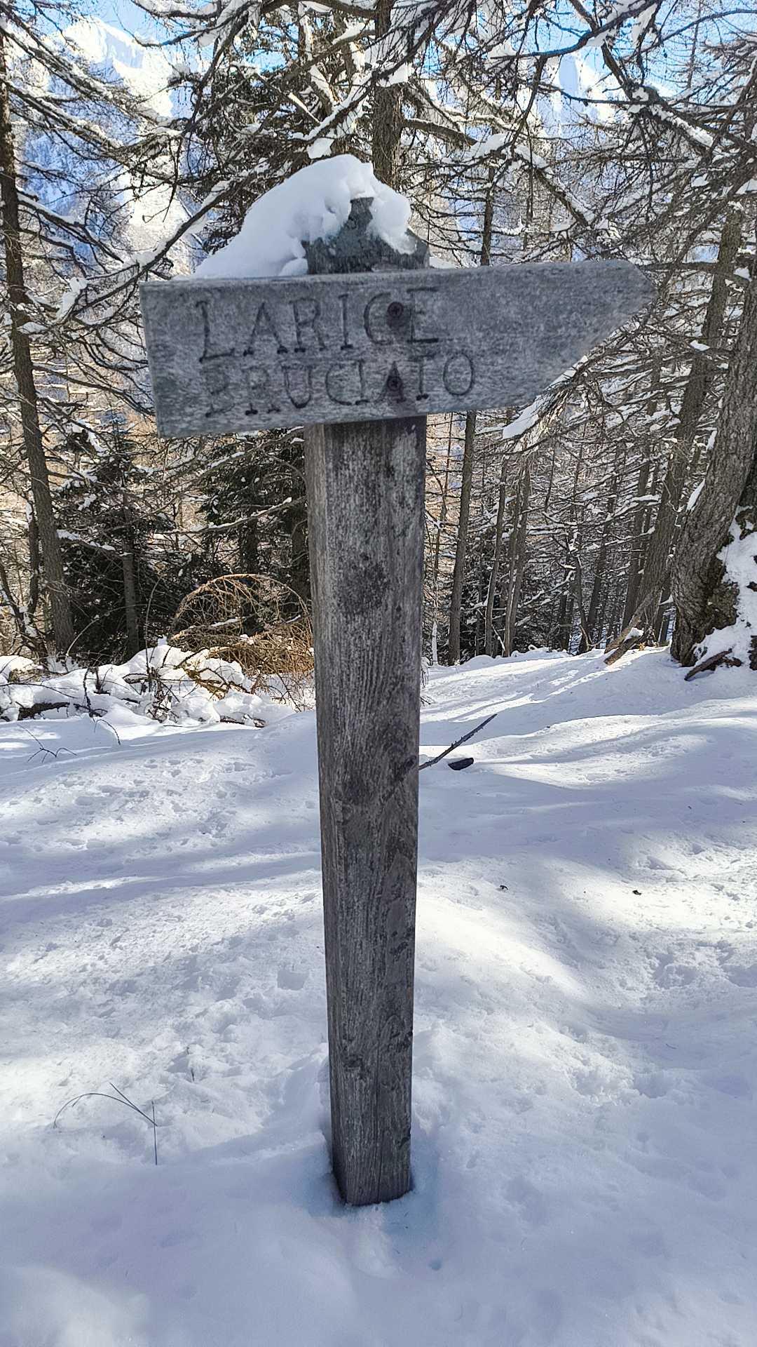 Foto n° 17 del trekking Cimone di Margno